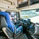 수정화물 이미지