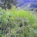 고제면 봉계리 이미지