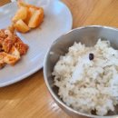 진주팥죽