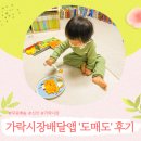 가락생생정육 | 도매도 애플망고 가락시장배달 후기