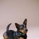 서울행정사 이미지