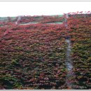 삼명중기 이미지