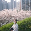 서울칼라１사진관 이미지