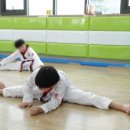 경희대 더함 태권도장 이미지