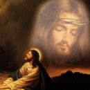 2025년/ 9 월 둘 째주일 낮예배 대표 기도문 이미지