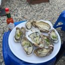 마리스 | 컬리 추천템 통영 굴 택배 스텔라마리스 오이스터 후기 - 하프쉘 손질 먹는법 세척 팁