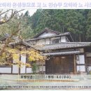 교토 오하라 노 사토 숙박 후기: 숨겨진 보석같은 료칸!