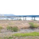 낙동강변27 이미지