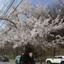 메이드코어 | 뉴발란스 992 메이드 인 USA 코어 블랙 280mm 착용 후기 및 사이즈 팁