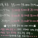 힙독 애견카페 이미지