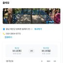 올레유 캠핑장 이미지