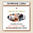 통기타, 일렉기타 집중레슨 1:1 | 잠실기타학원이 알려주는 기타 독학 3개월차 한계 극복법! 라실용 잠실점 통기타/일렉기타반🎶🎸