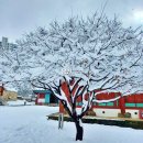 하모니-풍경 이미지