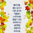 월요일/이미지 이미지