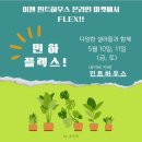 민트하우스 이미지
