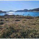 포유부동산공인중개사사무소 이미지