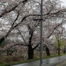 신탄진역 이미지