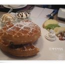 나무906 이미지