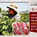 황가네농장 이미지