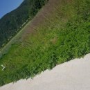 부산리 농장 이미지