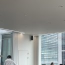 성수 조용한 통창 뉴욕 감성 카페 맥파이앤타이거 티룸 내돈내산 방문 후기