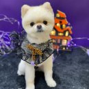 빛날시간 이미지