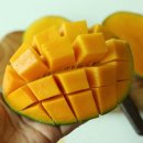 종보농장 이미지