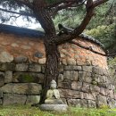 꽃비원스테이 | 경남 산청 템플스테이 강아지 보리가 있는 문수암 예약 추천