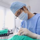 서울더자연치과의원 이미지