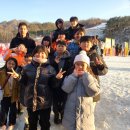 큰나무태권도장 이미지