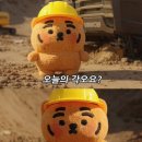 대영마트 | [일상] 8월 일상: x뺑이 친다