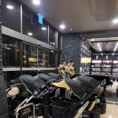 노블펫 | [충주 여행] 충주 켄싱턴 리조트 내돈내산 후기_애견 동반 여행