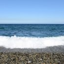 대본2리 이미지