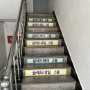 글래드헤어 이미지