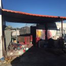 진전면919 이미지