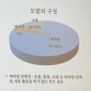 가위와빗 이미지