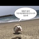 화이트펜슬인천부평 이미지