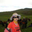 몽골여인 이미지