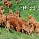 건우축산 - 관악구 신원로5길 33 | 건우축산