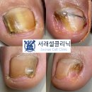 셀클리닉의원 이미지