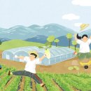 전원의 낭만 이미지