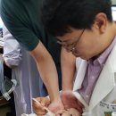 연세덴티프로치과의원 이미지