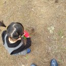 올스테이인 이미지