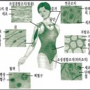 뷰티피엠 이미지