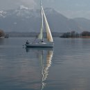 황포돗대 이미지