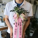 유천지구대 네이버블로그