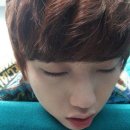 산들 강아지 이미지