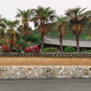 고향집 농박 이미지