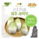제주돈이다 이미지