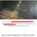 은하면 합천마을회관 | 전 세계 축산시설(양돈장·양계장) 화재 반복 발생하는 이유는 ?